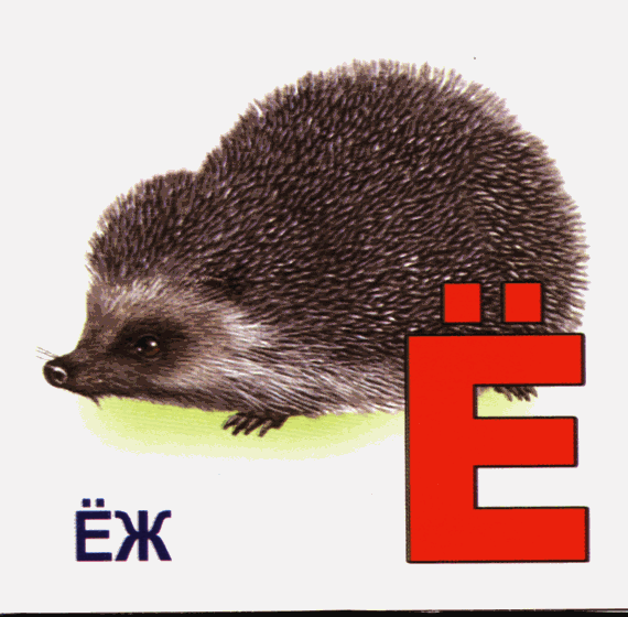 ezh1